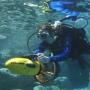 sea scooter buceo
